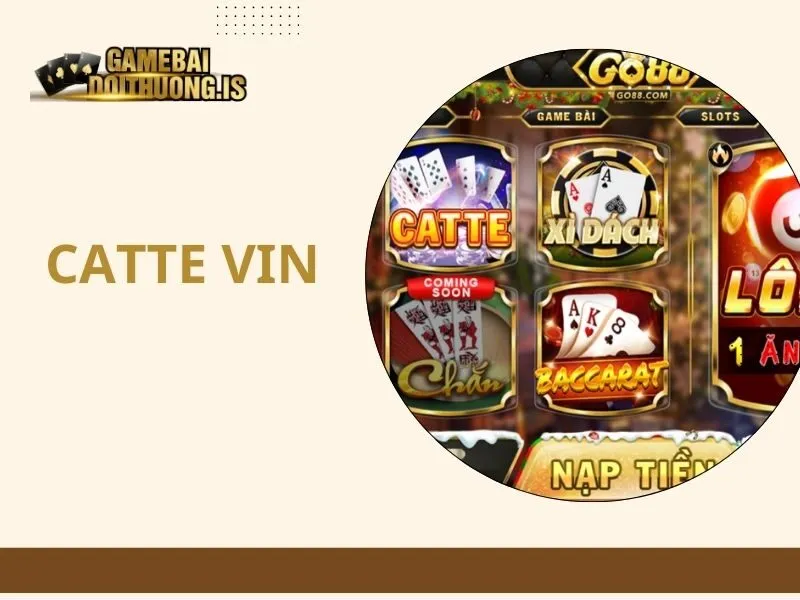 Catte VIN