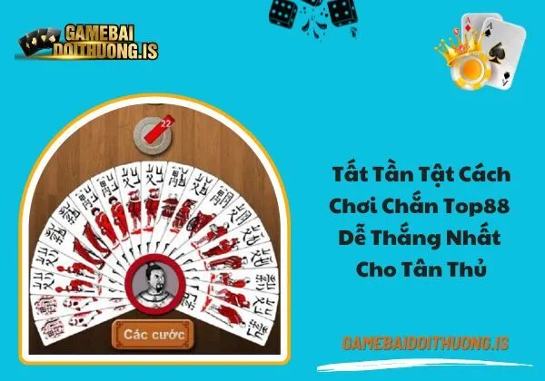 Chắn Top88